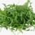 野菜，芝麻菜货源充足量大从优，欢迎来电咨询