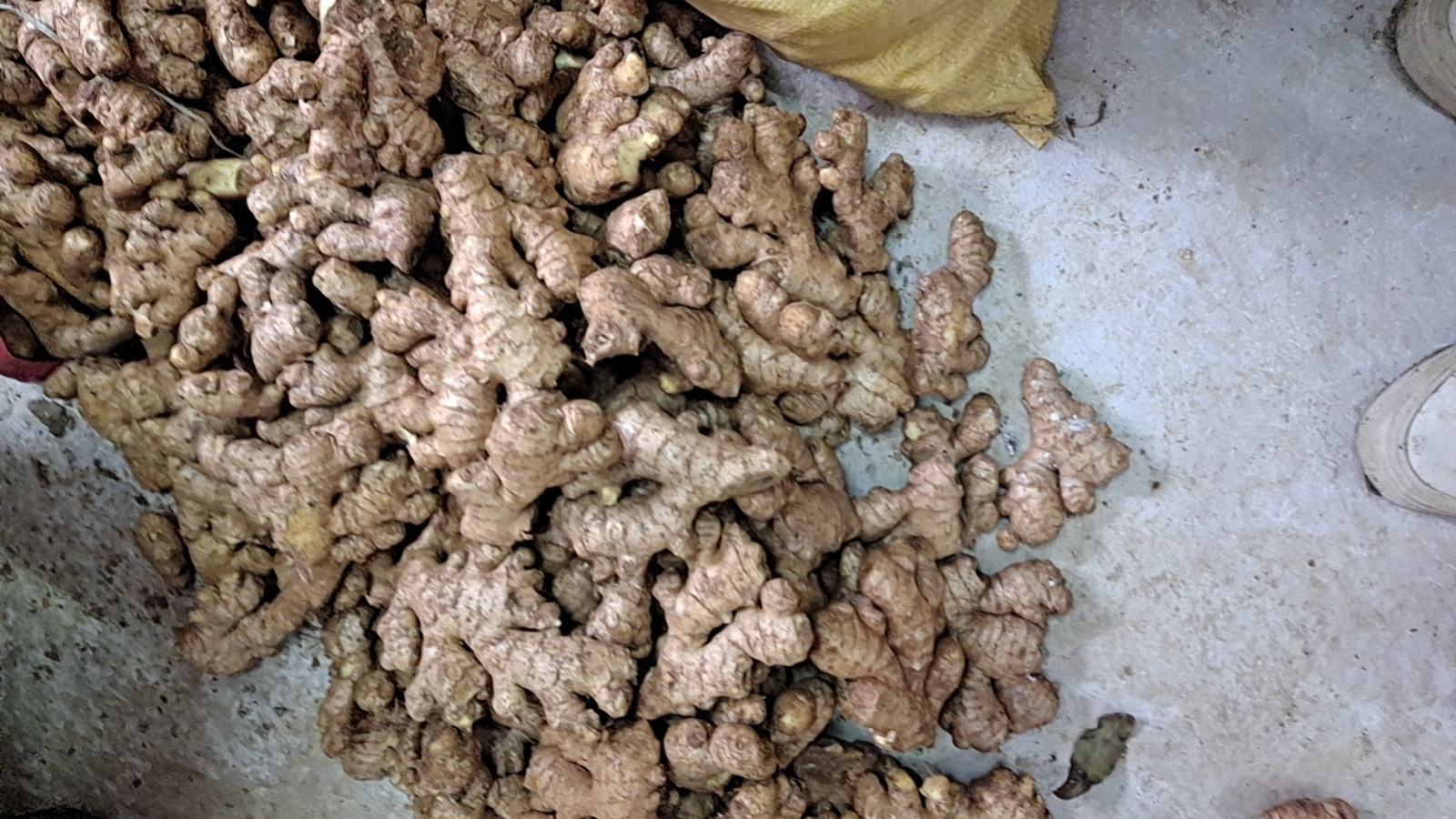 展示老姜在不同地区的称呼,如生姜、干姜、姜母等 老姜的别名展示图