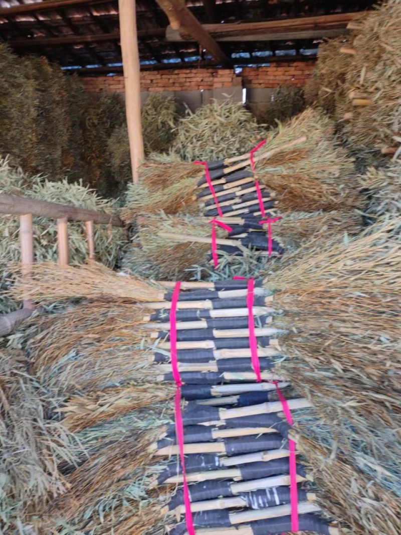 小竹扫把