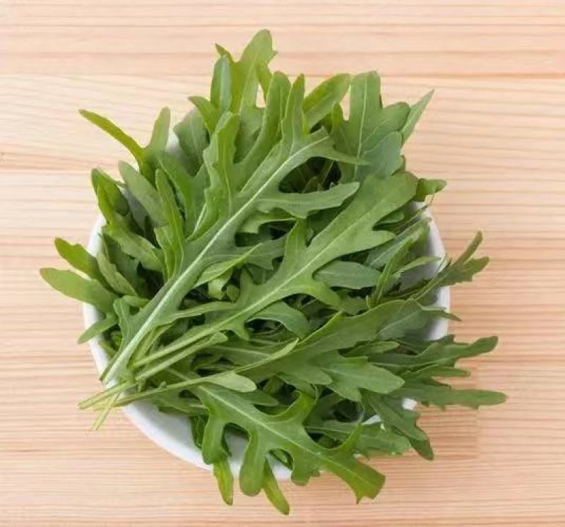 野菜，芝麻菜货源充足量大从优，欢迎来电咨询
