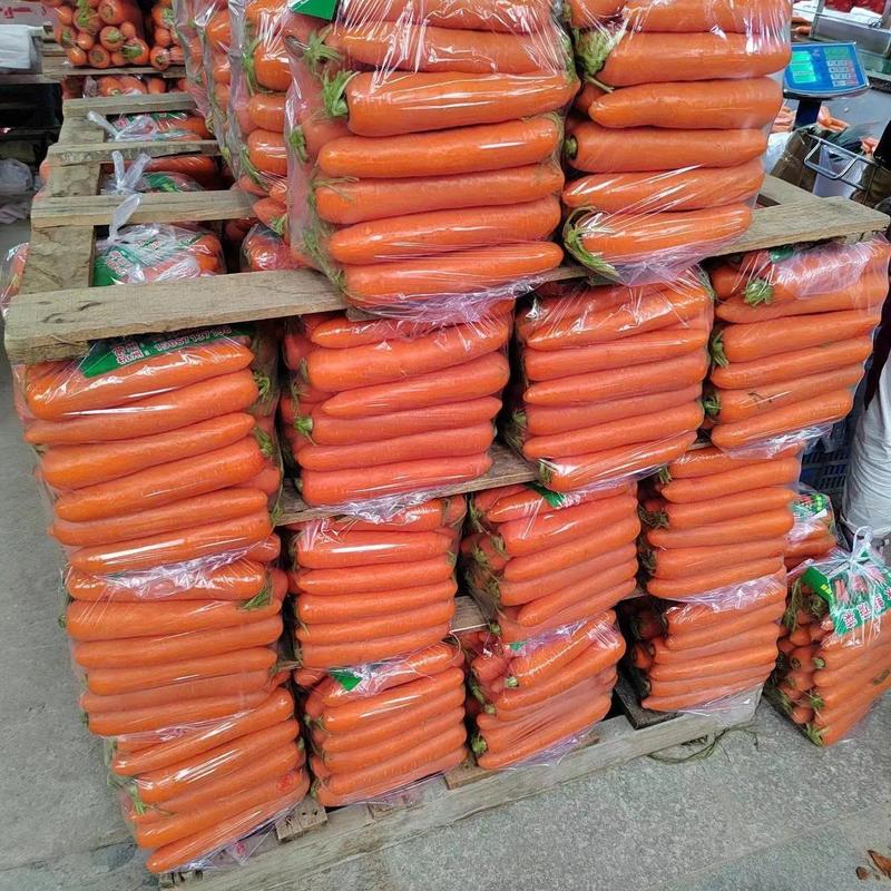 河南精品胡萝卜基地直供对接电商超市社区团购来电咨询