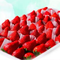 山东临沂玖香大草莓一手货源一件质量保证