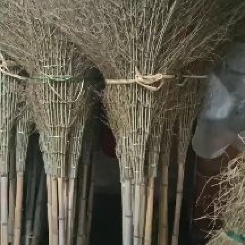 竹扫把