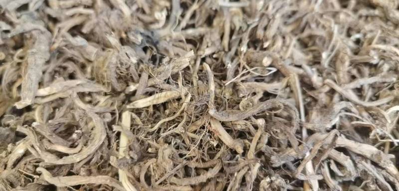 小草乌倒提壶