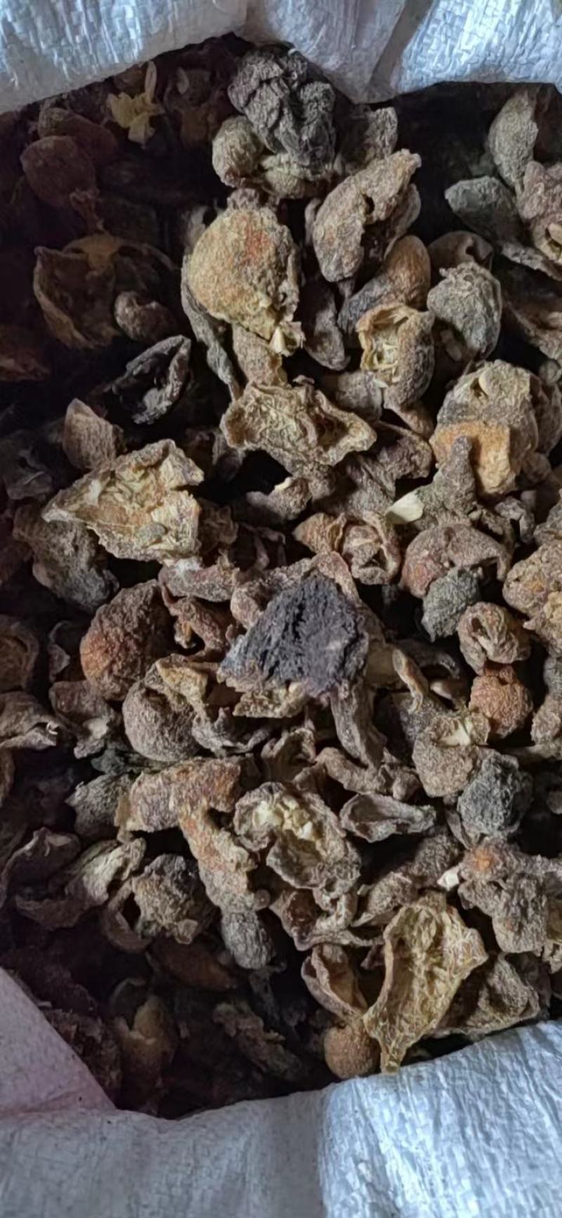 枳壳皮