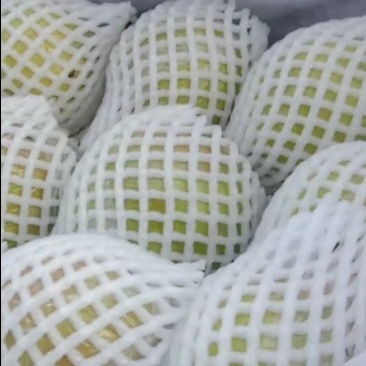 【精品】玉露香梨产地直供质量保证规格齐全售后一条龙