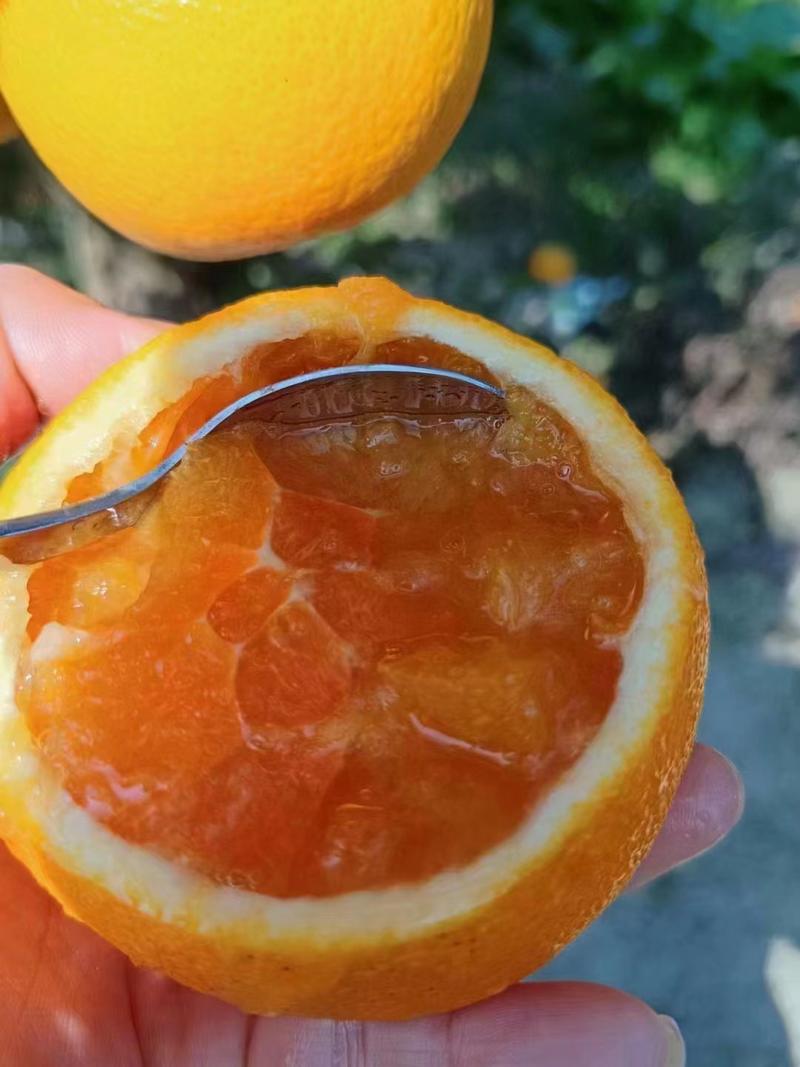 （好货）产地橙子口感好/爱媛橙保质保量欢迎来电采购