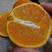 （好货）产地橙子口感好/爱媛橙保质保量欢迎来电采购