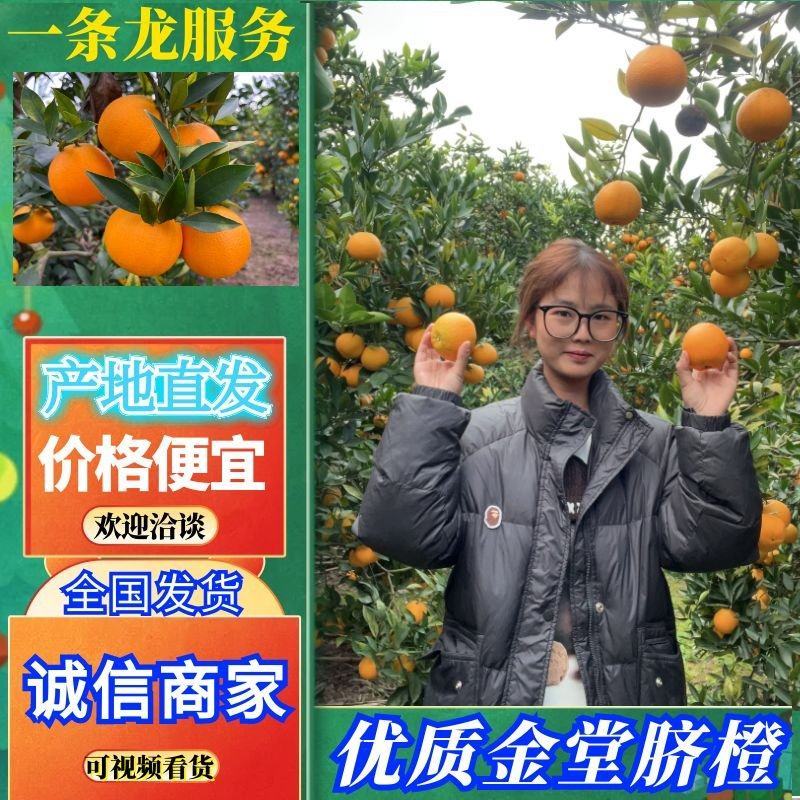金堂脐橙皮薄口感好关键是味道巴适自产自销品质保证