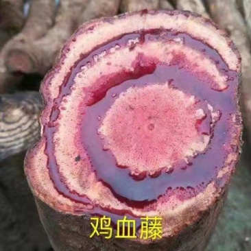 鲜货，好货，十多药材应有尽有
