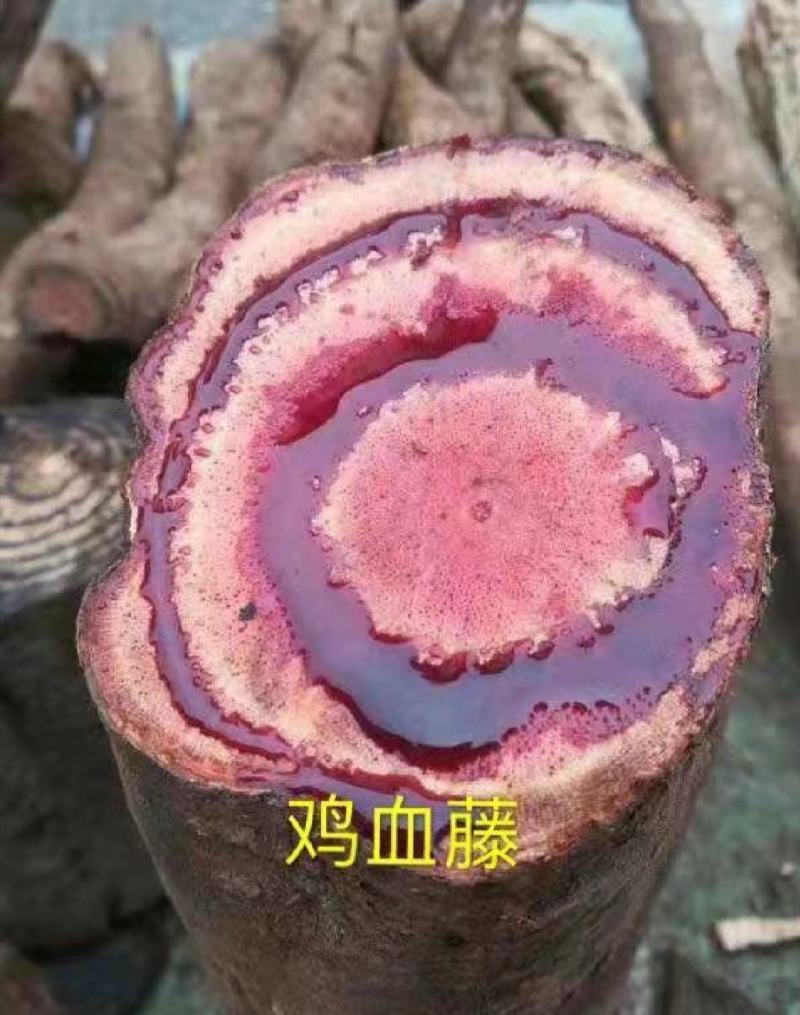 鲜货，好货，十多药材应有尽有
