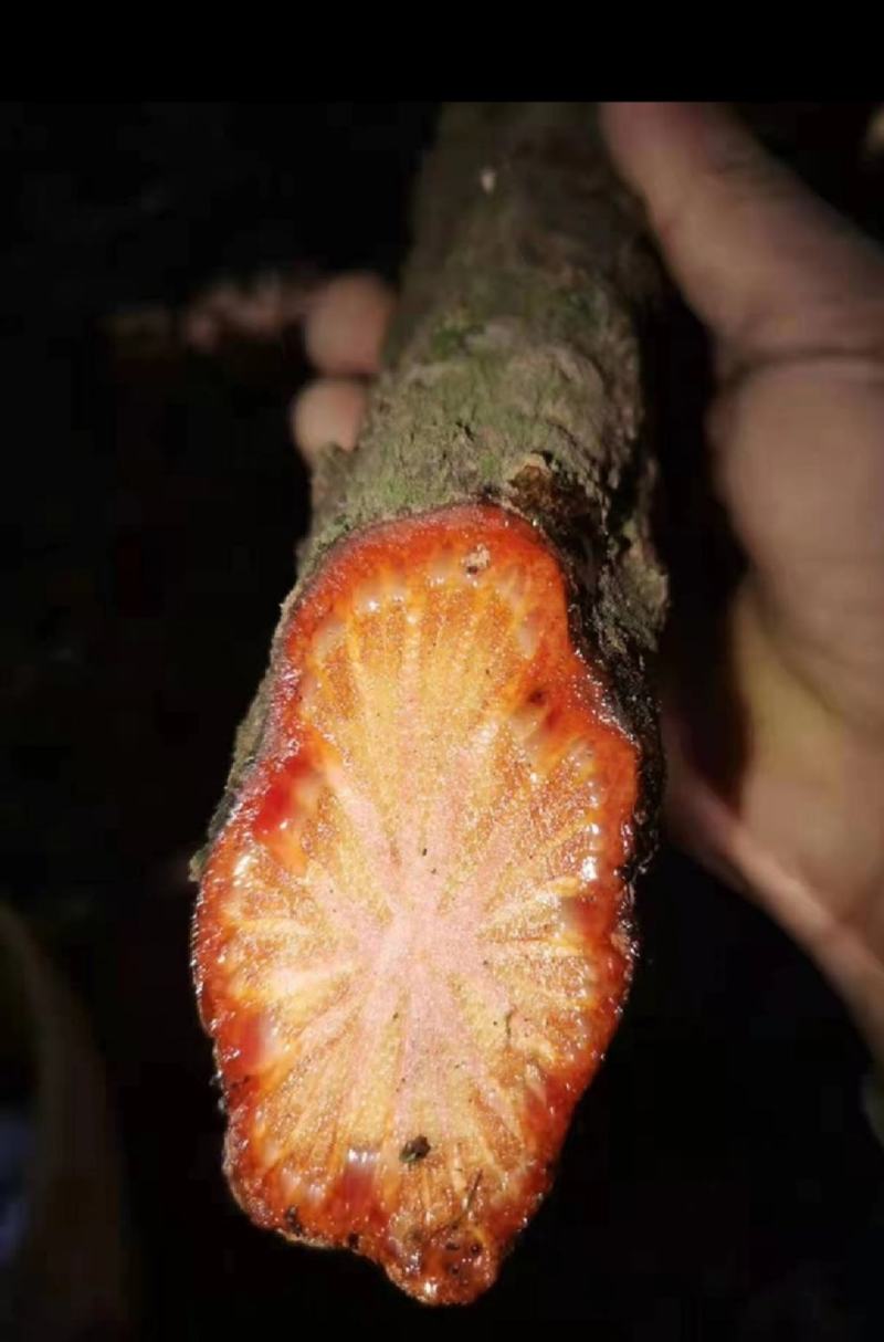 血通，好货鲜货，店内有十多种药材，应有尽有