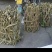 黑苦藤，大货，鲜货，好货，各种药材应有尽有，需要直接联系