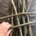 黑苦藤，大货，鲜货，好货，各种药材应有尽有，需要直接联系