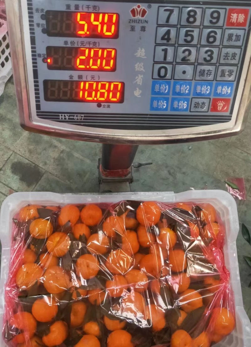 【产地批发】精品南丰蜜桔，个个品质优，量大从优欢迎咨询