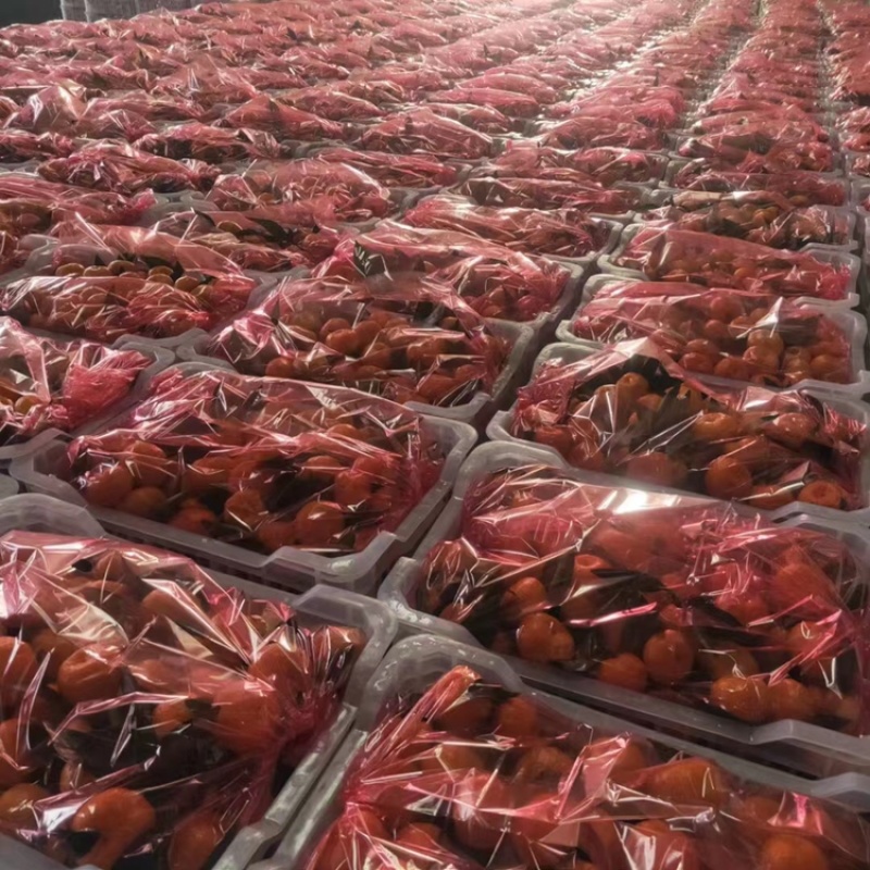 【产地批发】精品南丰蜜桔，个个品质优，量大从优欢迎咨询