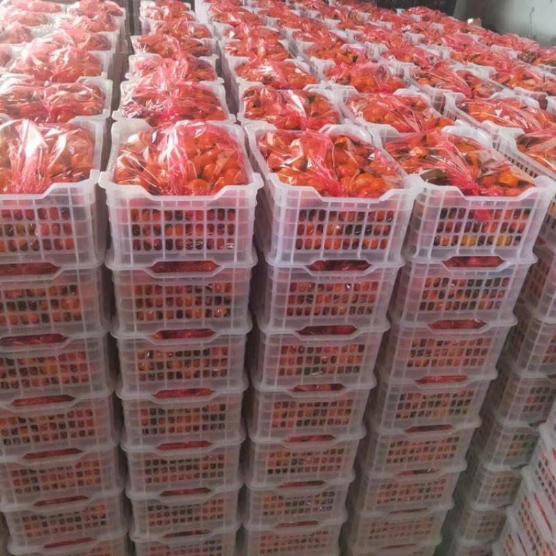 【产地批发】精品南丰蜜桔，个个品质优，量大从优欢迎咨询