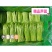 精品芦蒿，大量有货，品质保证，可视频看货欢迎订购