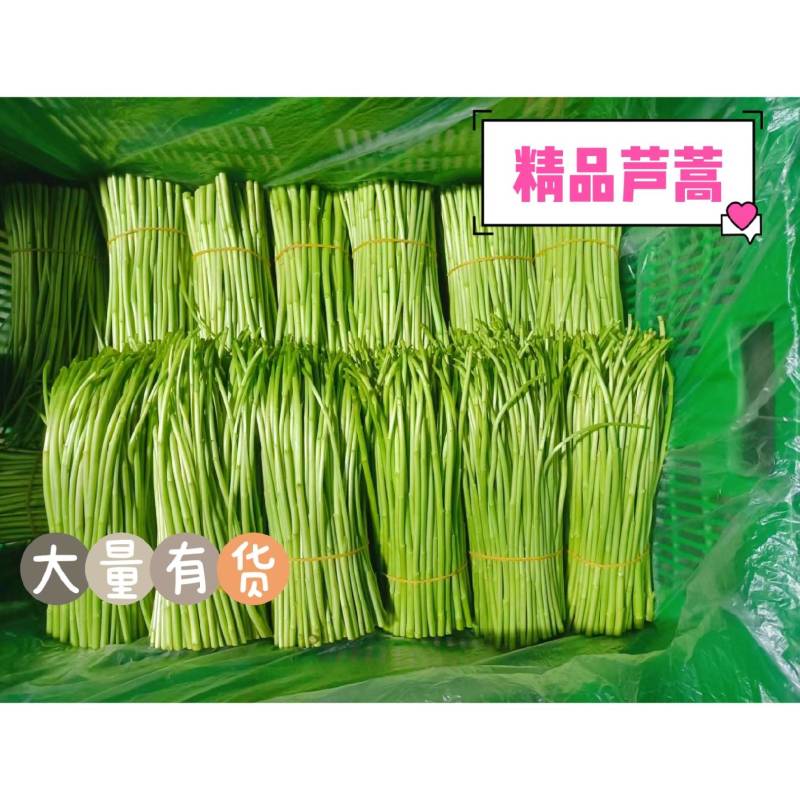 精品芦蒿，大量有货，品质保证，可视频看货欢迎订购