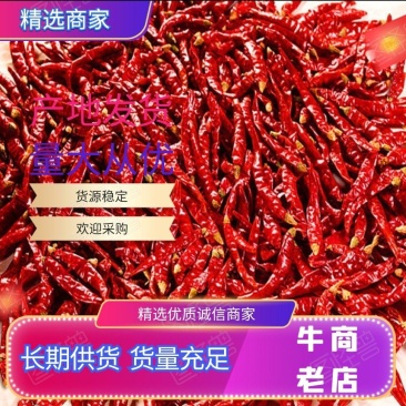 北京红干辣椒欢迎全国老板前来考察洽谈长期供货