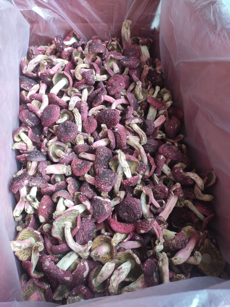 正红红菇包
