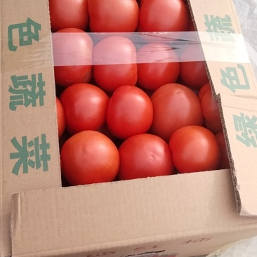 西红柿降价销售