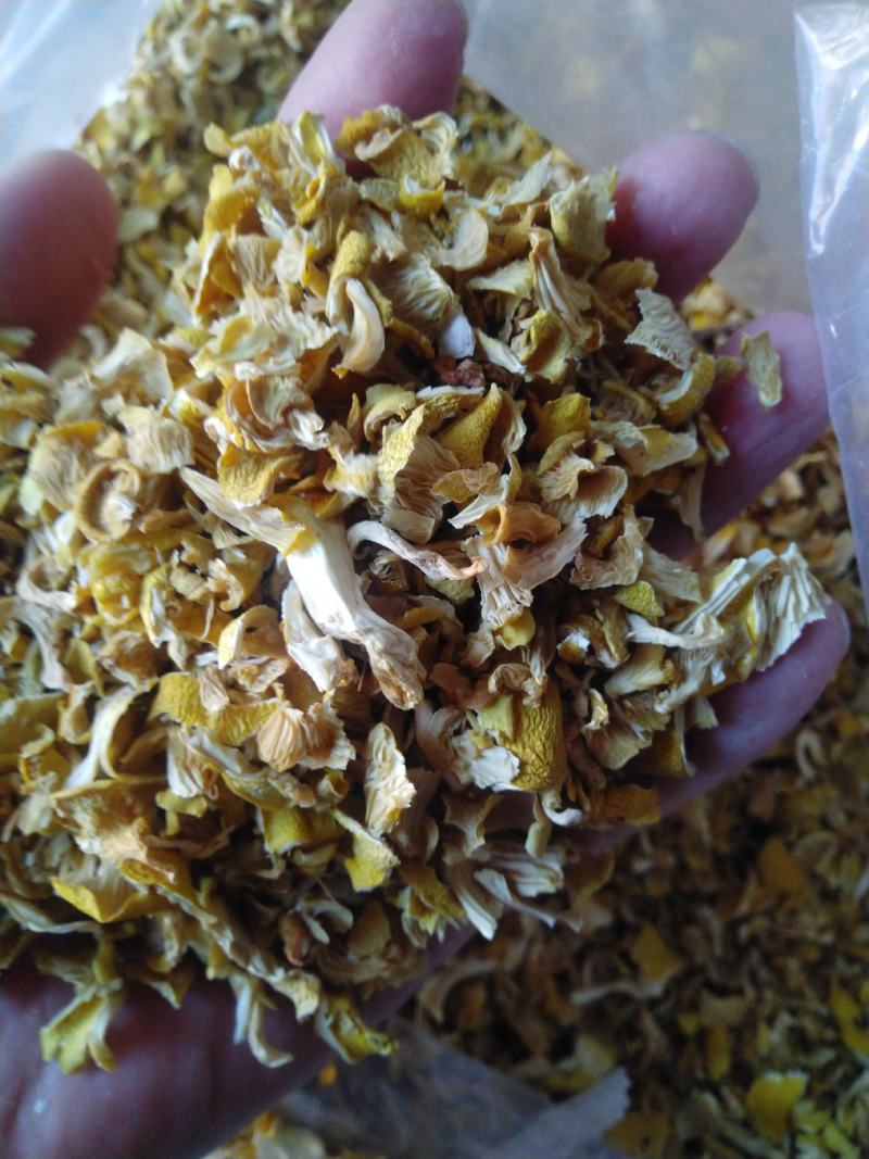 干榆黄蘑碎片批发