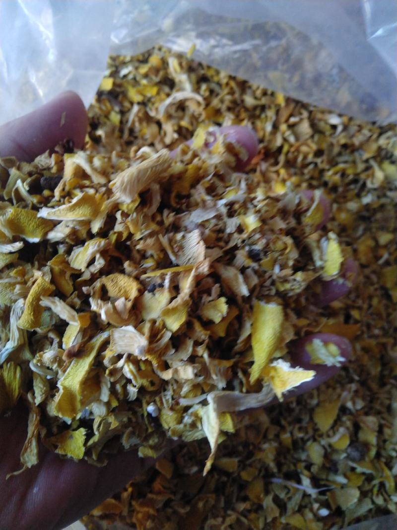 干榆黄蘑碎片批发