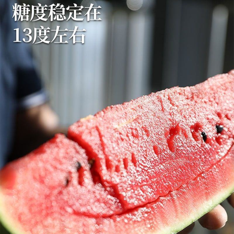 科美2k西瓜种子南方阳台盆栽种籽薄皮超甜春季四季水果种子