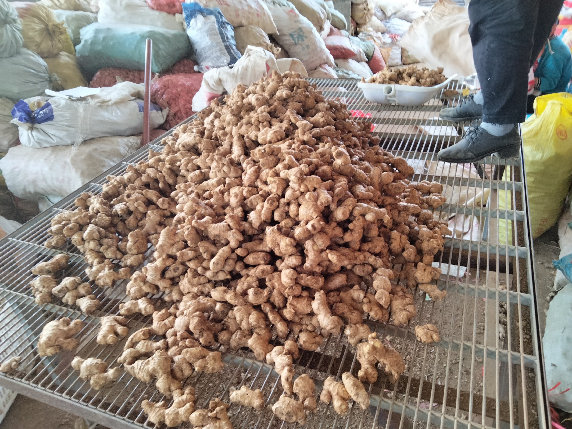 多种包装的姜母产品陈列展示,突出其作为农产品的自然属性 姜母泡脚产品展示