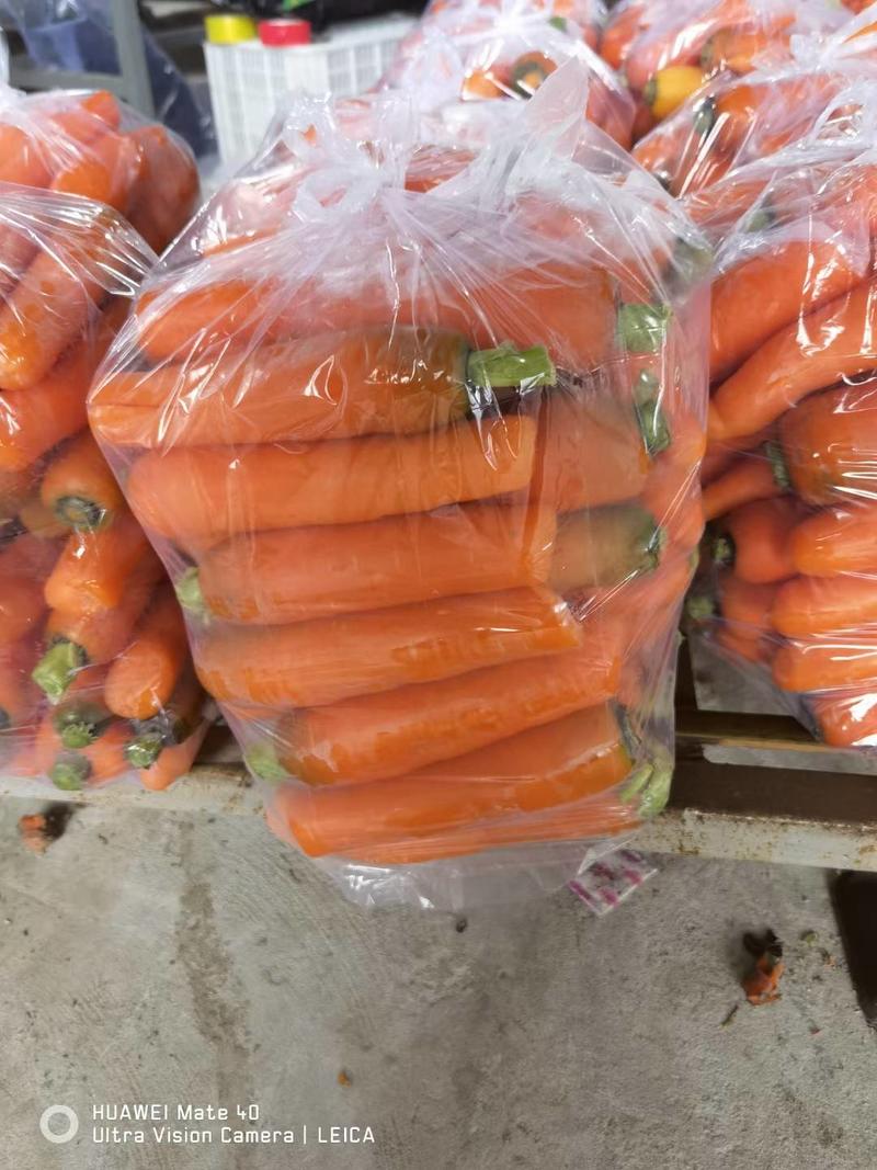 【实力】精品三红胡萝卜大量上市全国发货价格便宜