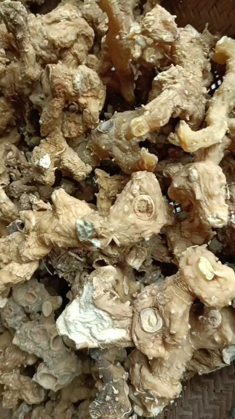 贵州正宗野生黄精，姜形甜品，水洗无硫蒸一次干统货。
