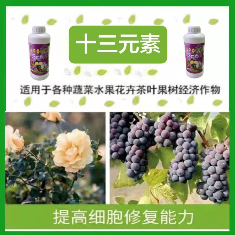 【货源充足】叶面肥：十三元素，生根壮苗，纠正缺素。