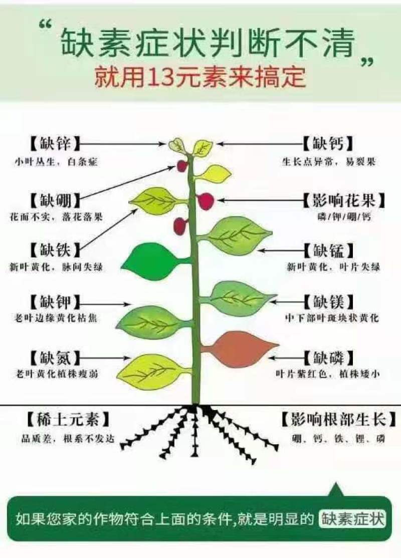 【货源充足】叶面肥：十三元素，生根壮苗，纠正缺素。