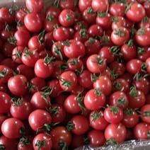 自家种的小西红柿