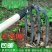 手工耙子锻打四齿农用工具园艺水泥耙铁钉耙菜园开垦松土种菜