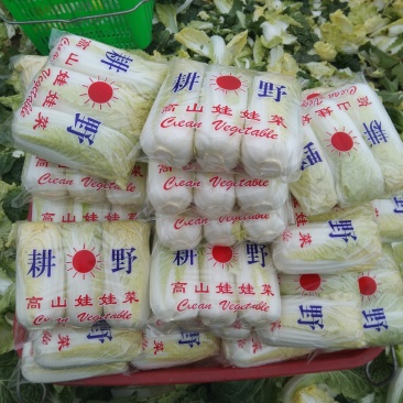 娃娃菜
