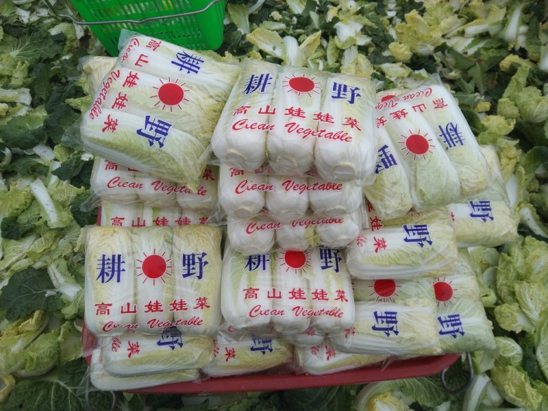 娃娃菜