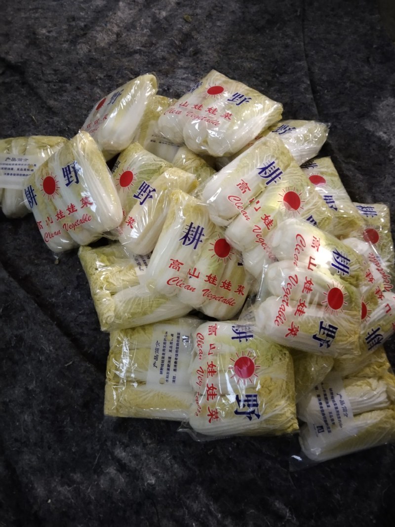 娃娃菜