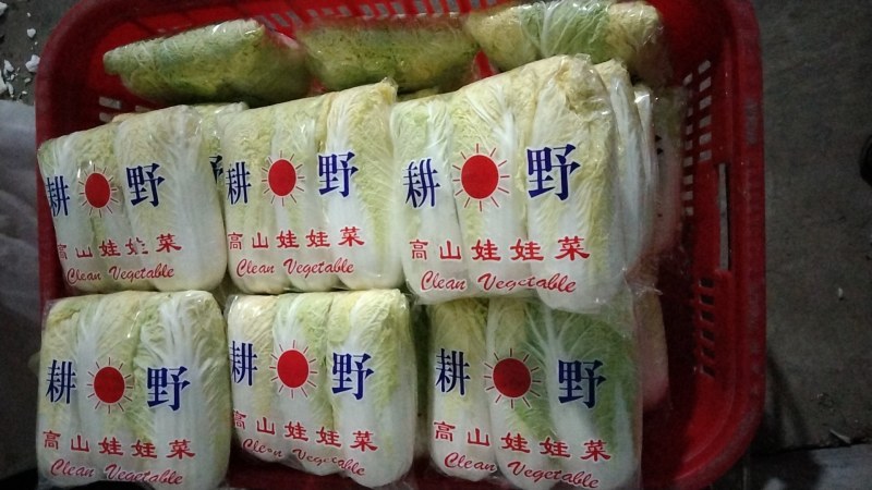 娃娃菜