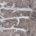 【牛商商家】葡萄苗产地出售中，量大从优，欢迎来电咨询