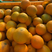爱媛橙，皮薄汁多，糖度15，化渣好，75-85的果径