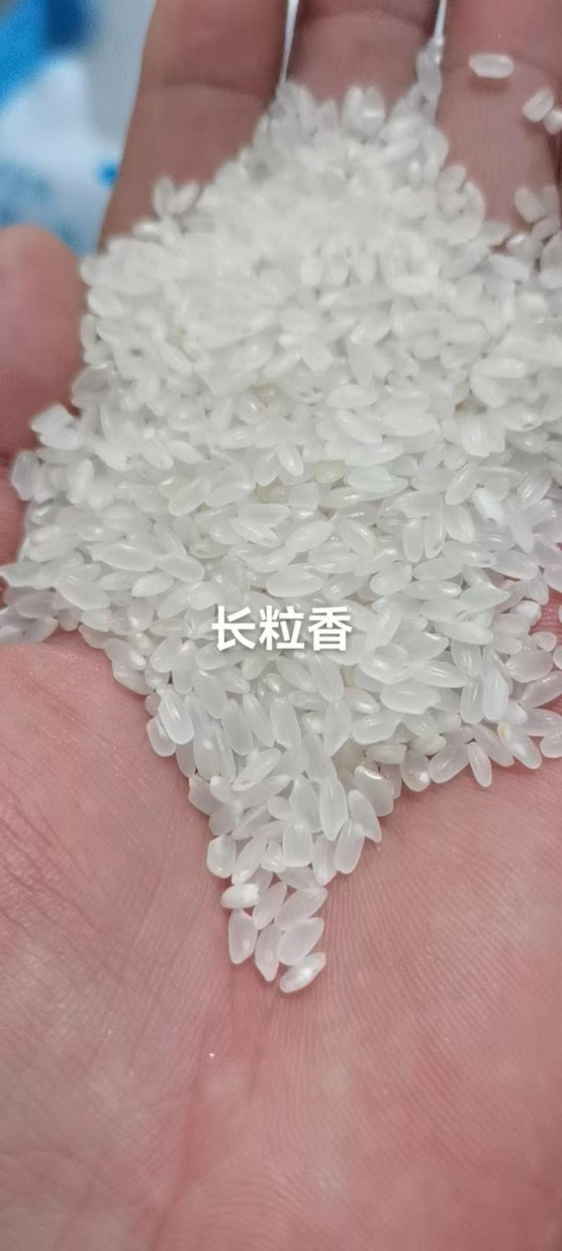 大米（碎米、圆粒大米、长粒大米、稻花香大米）黑龙江产区