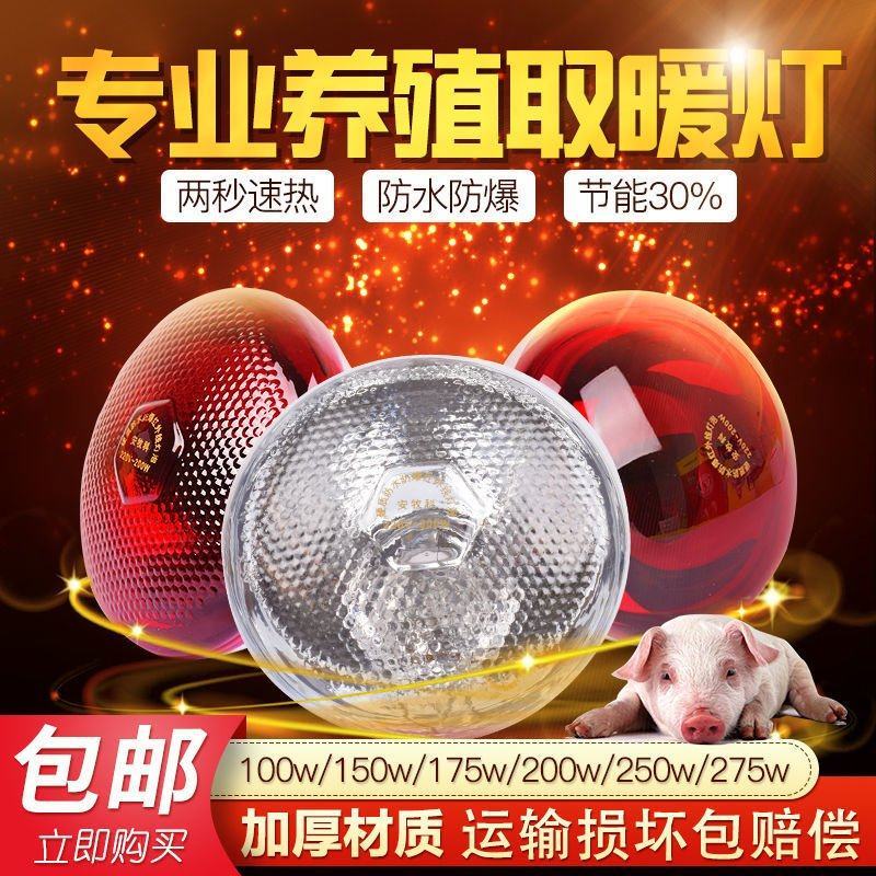 保温灯猪用养殖取暖灯防爆保温灯泡小鸡仔猪加热保暖灯泡烤灯