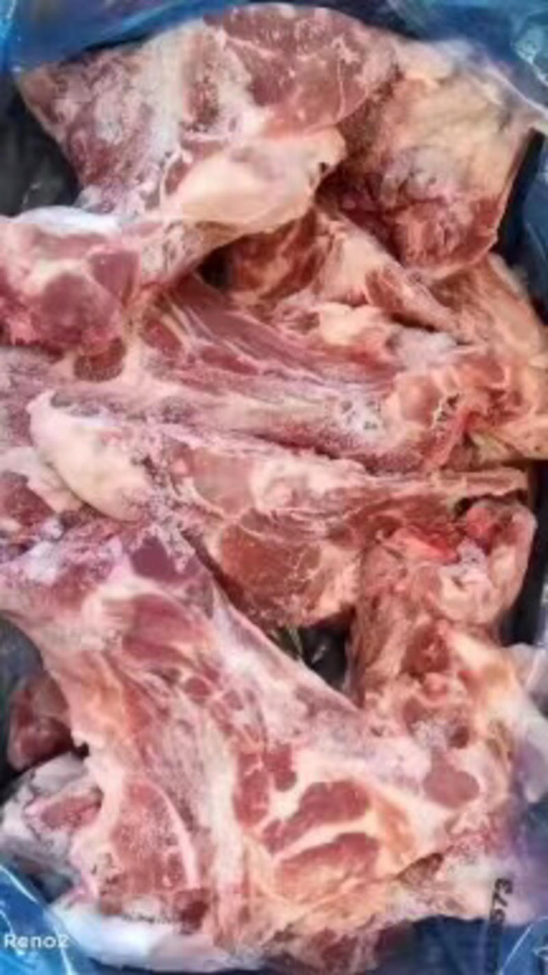 猪胫骨肉很多猪胫骨猪胫骨满肉猪胫骨猪胫骨