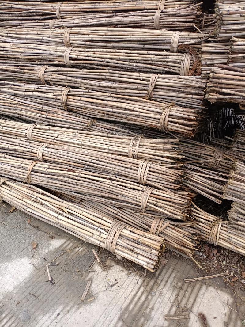 广西桂林大量山竹，有需要的可以找我