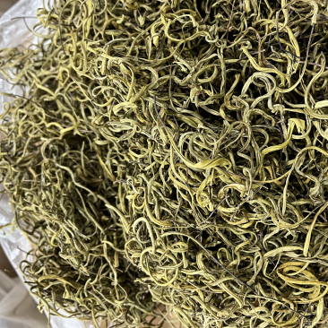 东北肾精茶长白山养生茶石化草500g