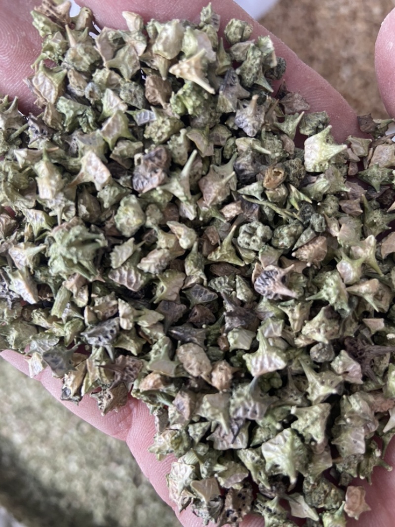 白蒺藜新货刺蒺藜七厘茨刺蒺藜蒺藜子