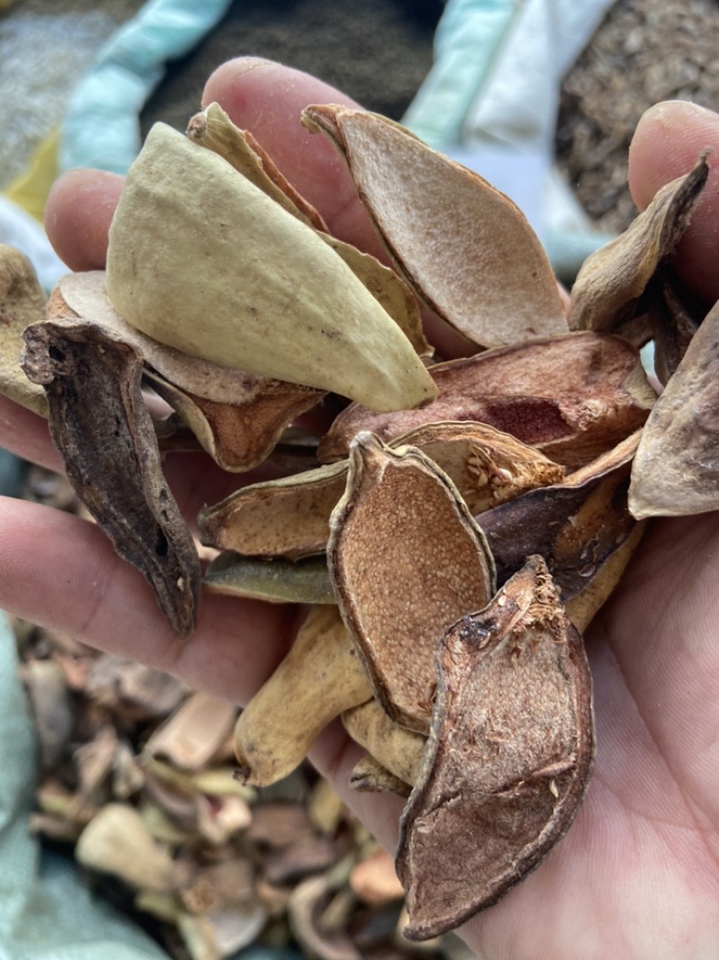 王不留行广西正宗中药留行子天然王不留壳中药材