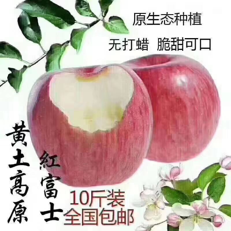高原红富士一件代打，要的朋友可以订货。产地直发